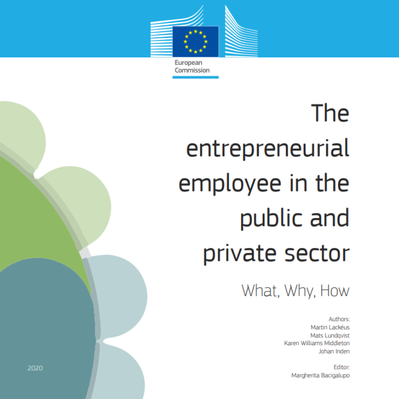 02 The entrepreneurial employee in public and private sector
